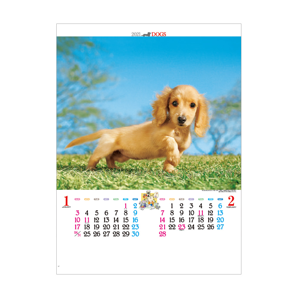 Ic3 かわいい犬 22年度版 壁掛け 動物カレンダー
