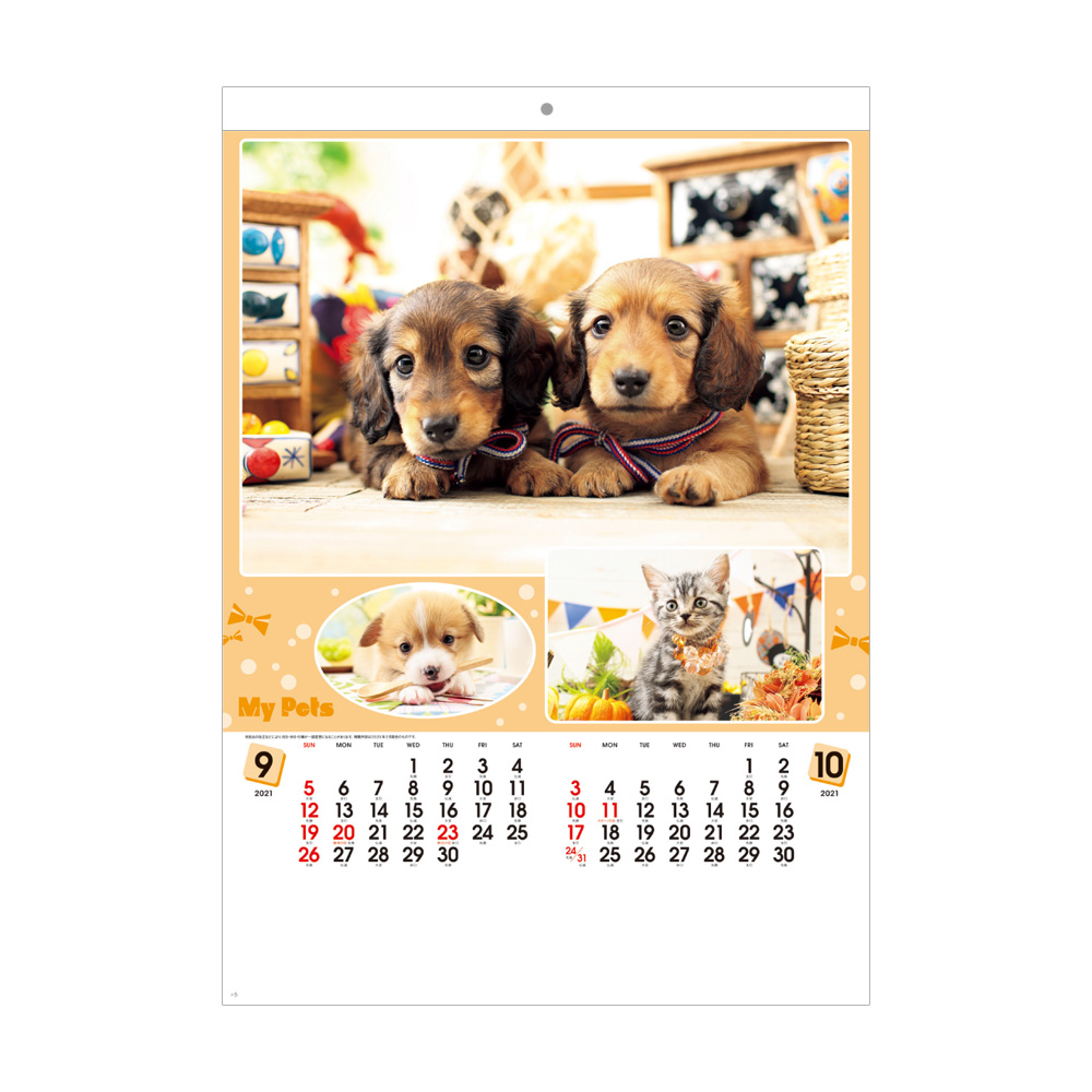 SB123 マイペット