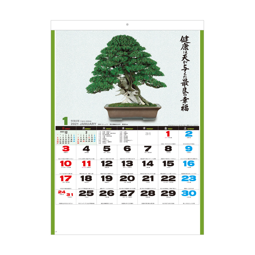 SG278 自然愛<盆栽>